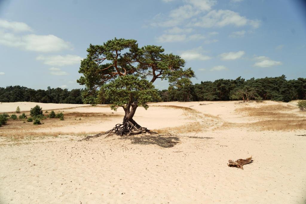 Natuurlandschap vlak bij het hotel