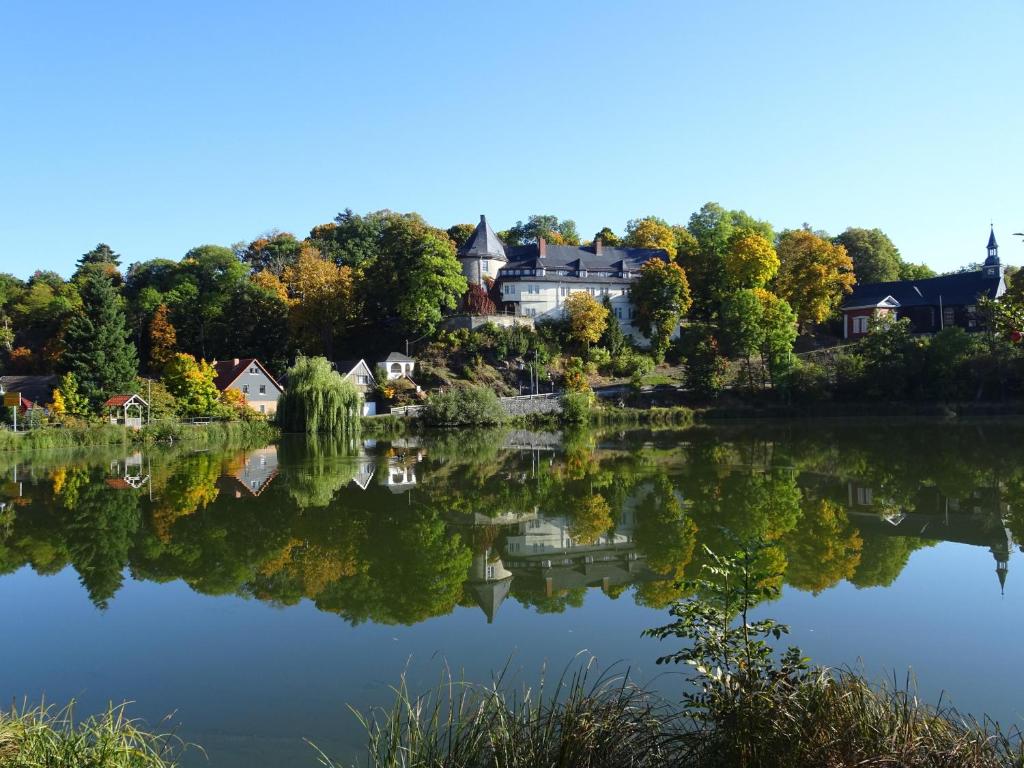 Stiege的住宿－Schloss Stiege，享有带房屋和树木的湖泊美景