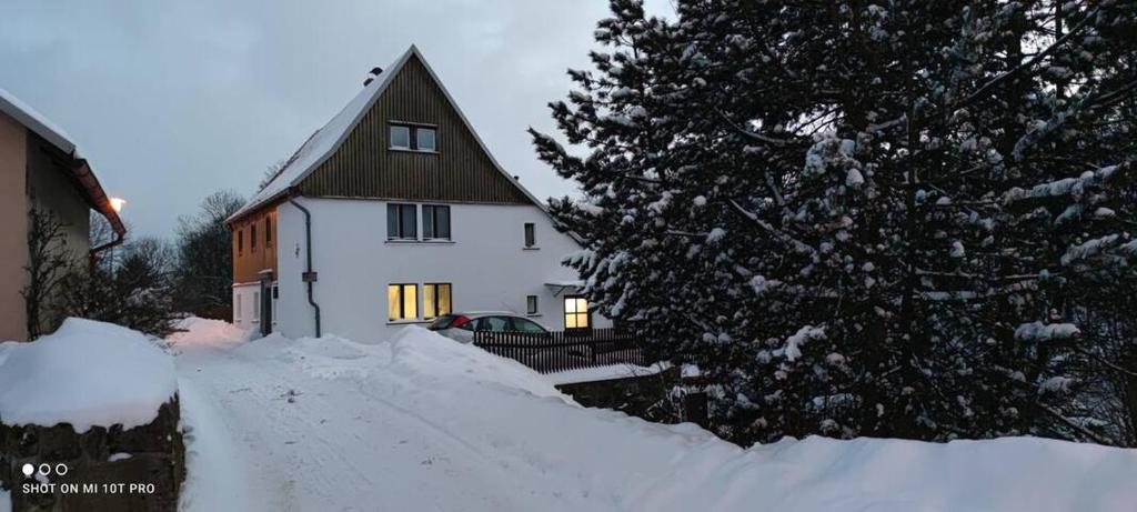 ein schneebedecktes Haus neben einem Baum in der Unterkunft Mika's Haus in Luftkurort Lückendorf
