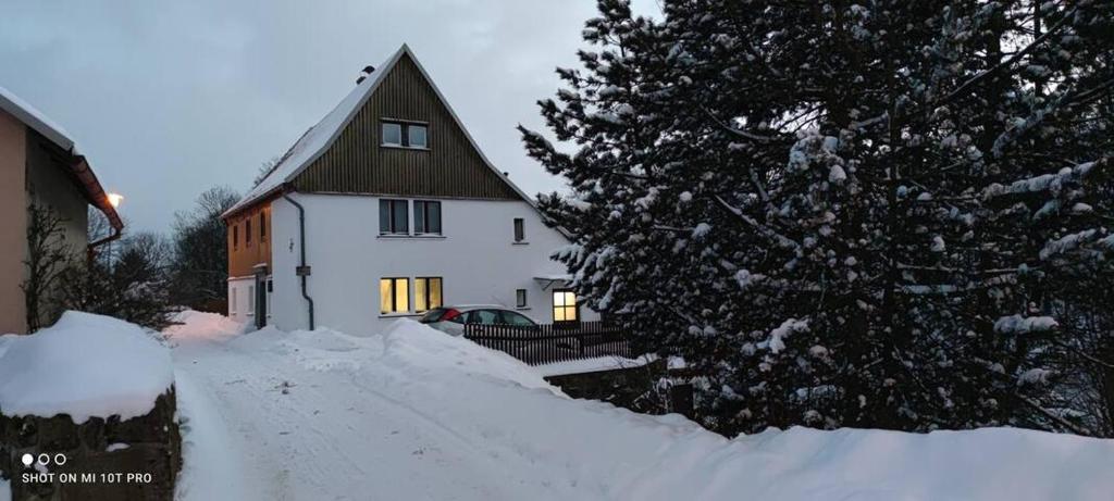 Mika's Haus - Housity