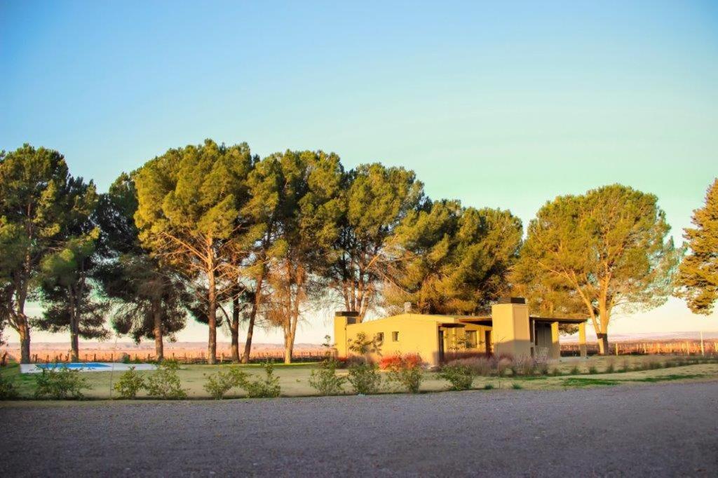 ein Haus mit vielen Bäumen im Hintergrund in der Unterkunft Cabañas Entre Hileras in Ciudad Lujan de Cuyo