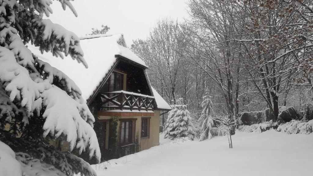 Jurajskie Zacisze v zime