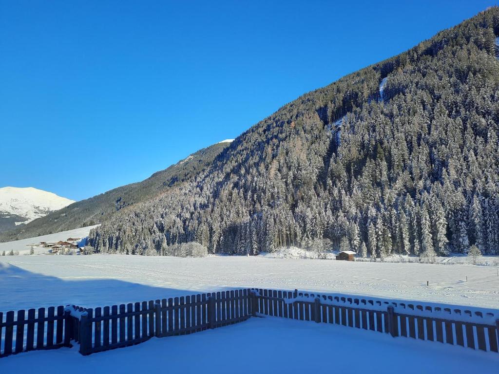 Příroda nedaleko apartmánu