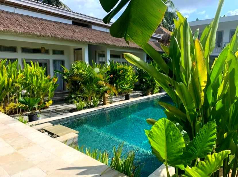 a pool in front of a house with plants at Drift Hideaway in Kuta Lombok