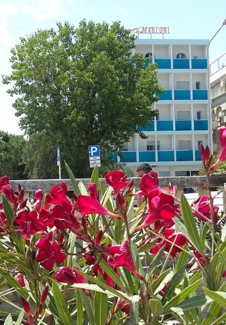Zahrada ubytování Hotel Spiaggia Marconi