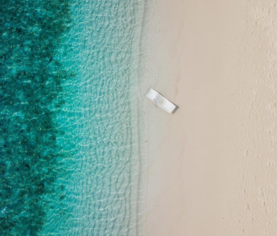 Fotografie z fotogalerie ubytování Maafolhey Han'dhaan - Ukulhas v destinaci Ukulhas