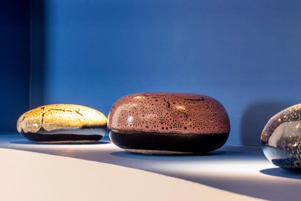 Hotel Duminy-Vendome - Resim 28