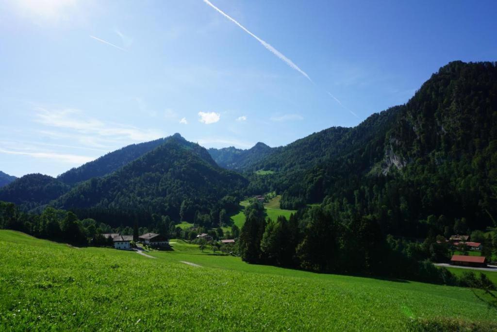 ein grünes Feld mit Bergen im Hintergrund in der Unterkunft Staller Hof in Ruhpolding