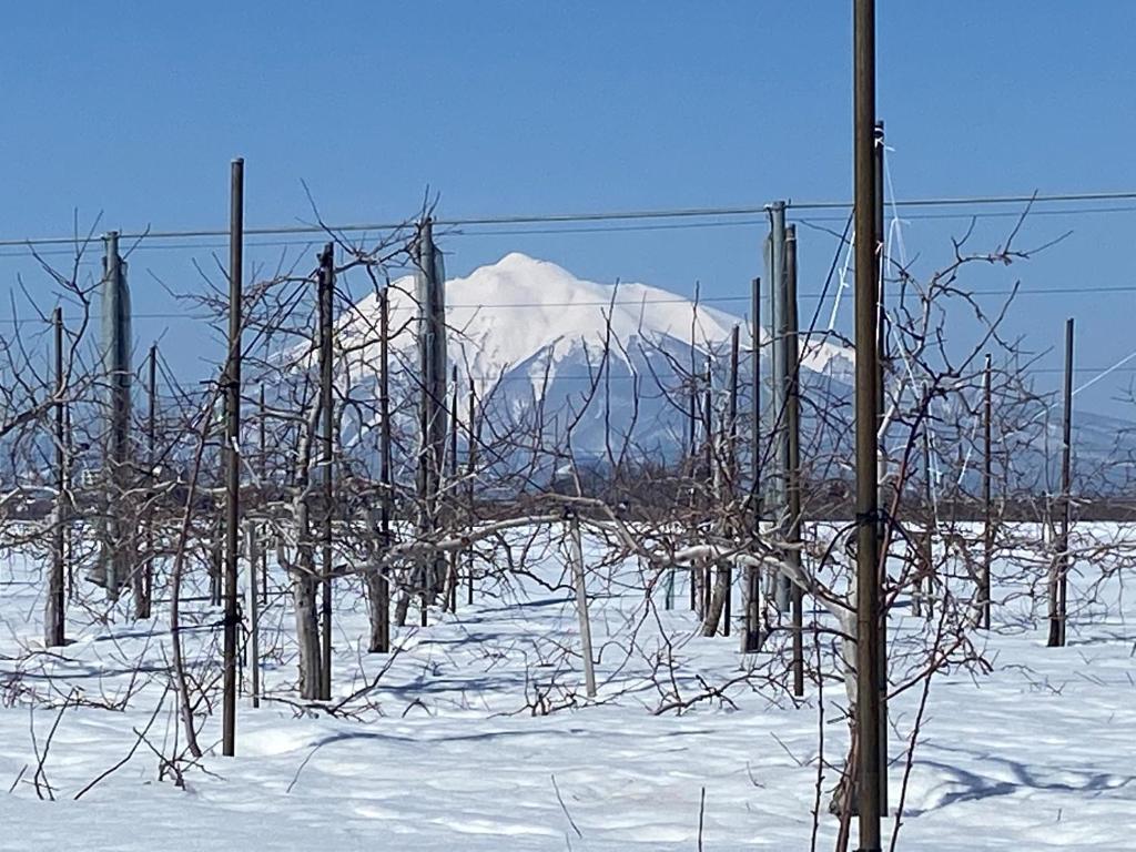a fence in the snow with a mountain in the background at HIROSAKI清水森はうす in Hirosaki