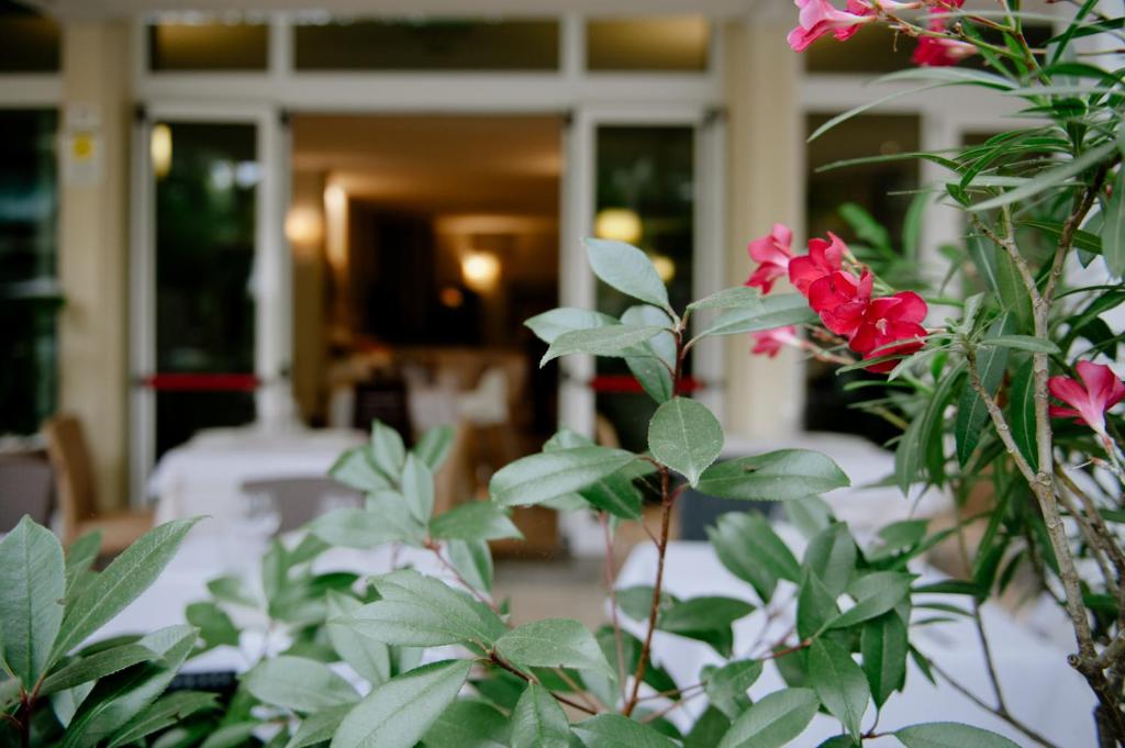 Zahrada ubytování Maison Hotel Lalla