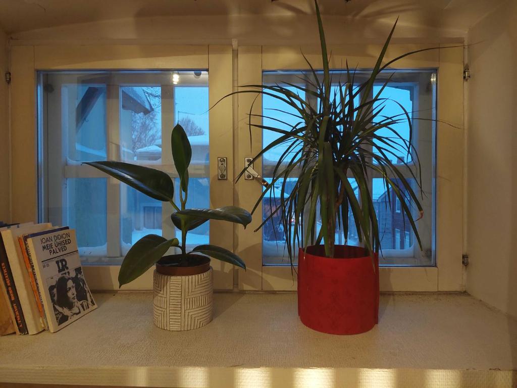 Foto Tartus asuva majutusasutuse Looming Hostel galeriist