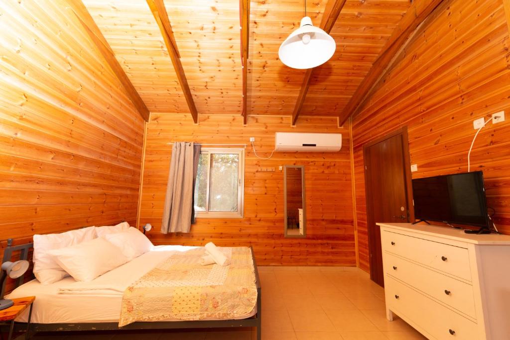 TV a/nebo společenská místnost v ubytování Gan Hakramim Country Lodging