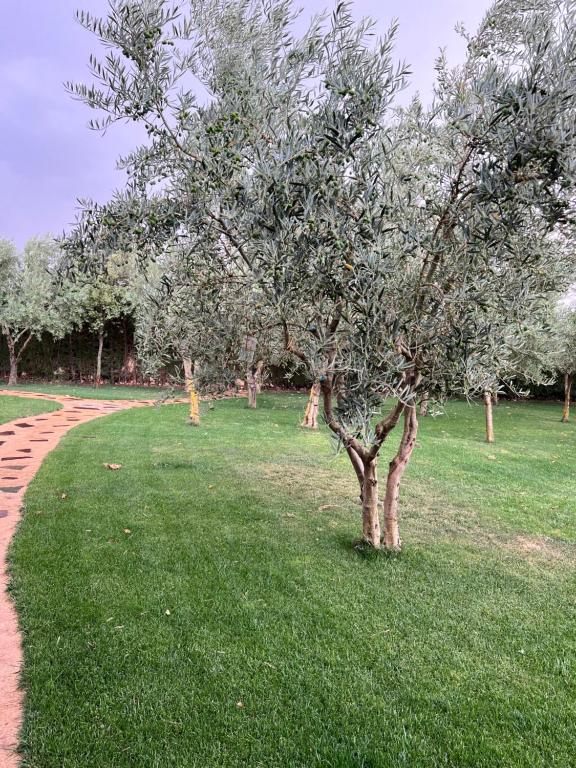 Los Naranjos - Alojamiento Rural Sostenible - Casa De Cuatro Dormitorios