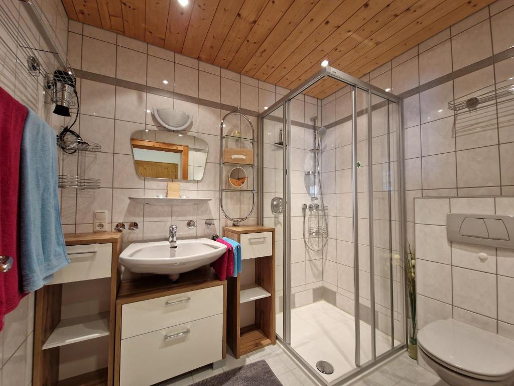 a bathroom with a shower and a sink and a toilet at Haus Haas in Lermoos