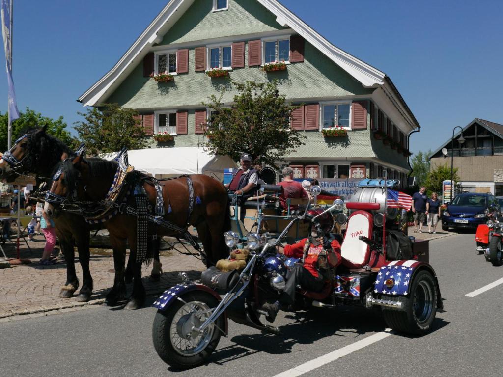 Jízda na koni v hotelu nebo okolí
