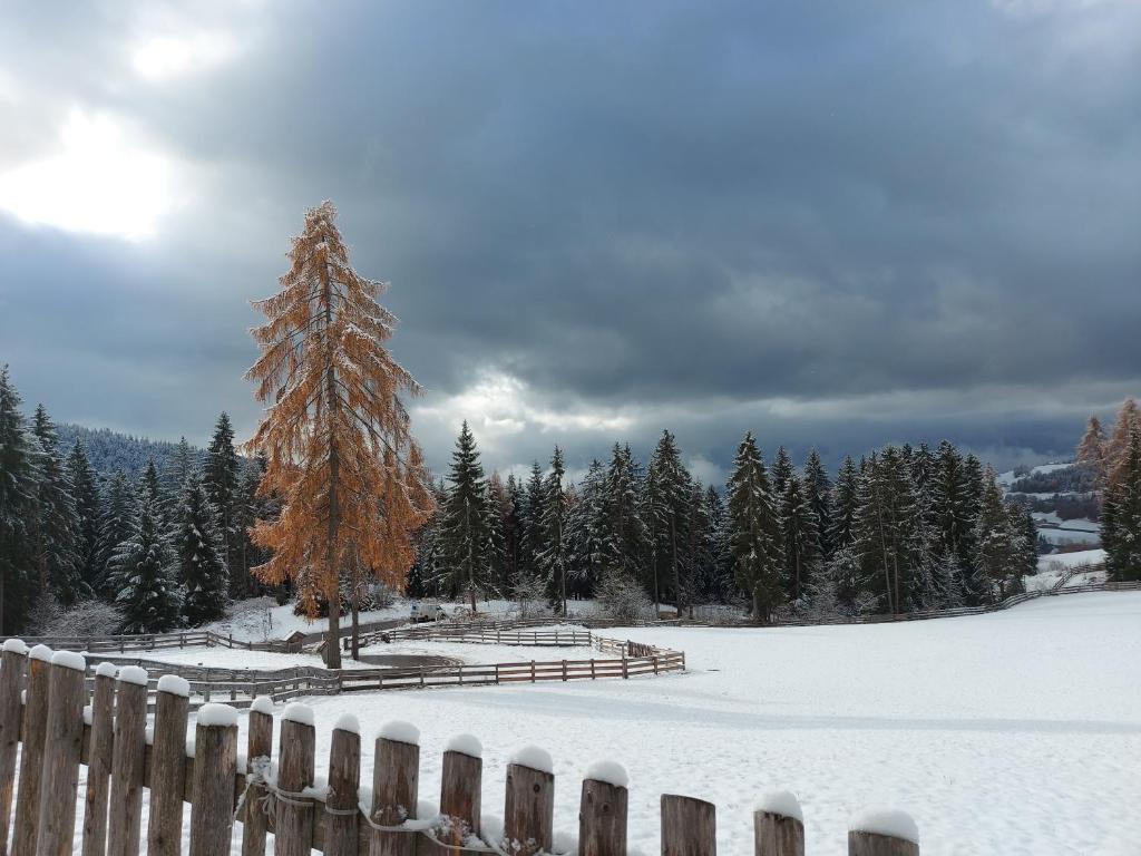 Obiekt Alpenrose zimą