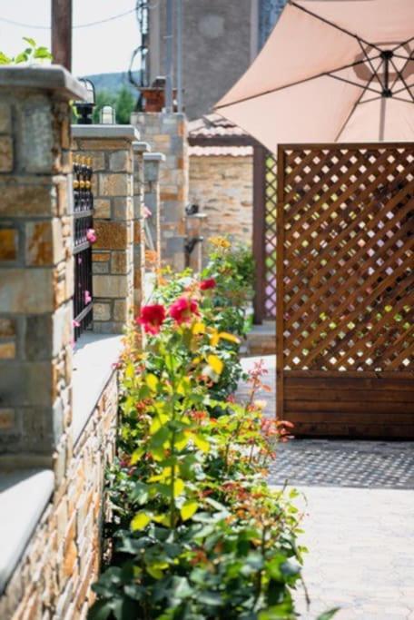 Zahrada ubytování Villa Valentina