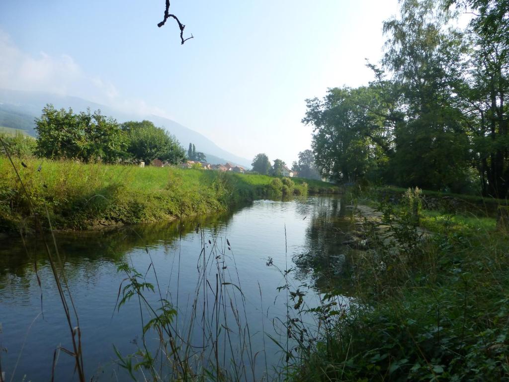 Příroda nedaleko bed and breakfast