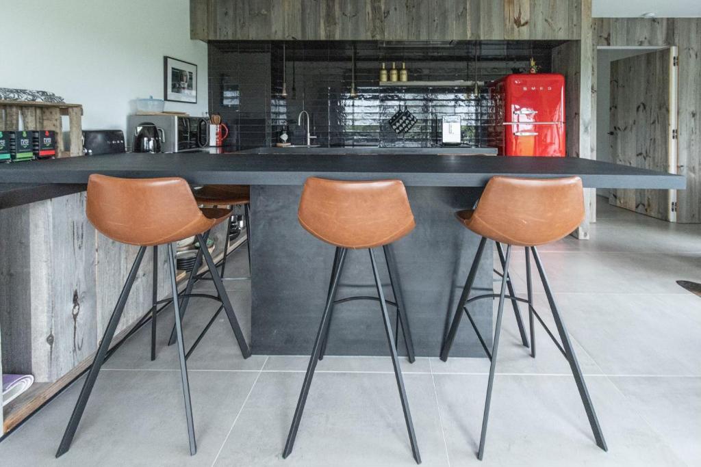 Kuchyň nebo kuchyňský kout v ubytování Rozeboom Loft
