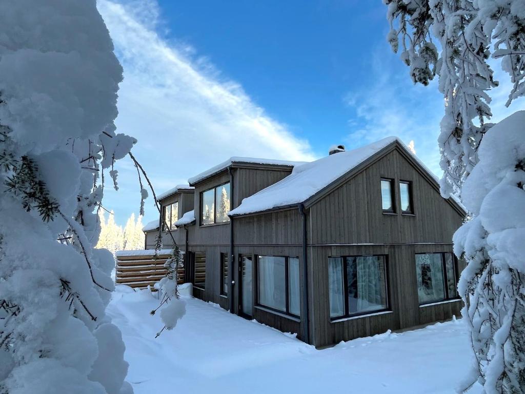 Martebäcken 19 зимой