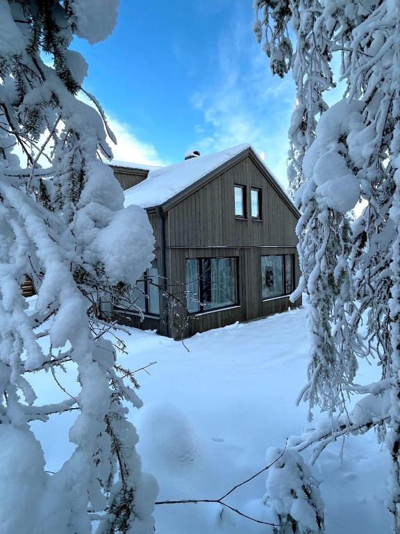 Martebäcken 19 зимой