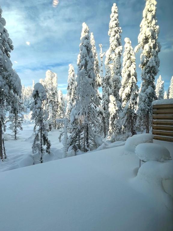 Martebäcken 19 зимой