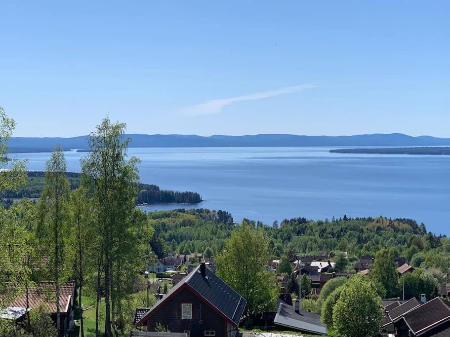 Blick auf einen See mit einem Haus und Bäumen in der Unterkunft Charmig stuga med panoramautsikt över sjön Siljan. in Rättvik