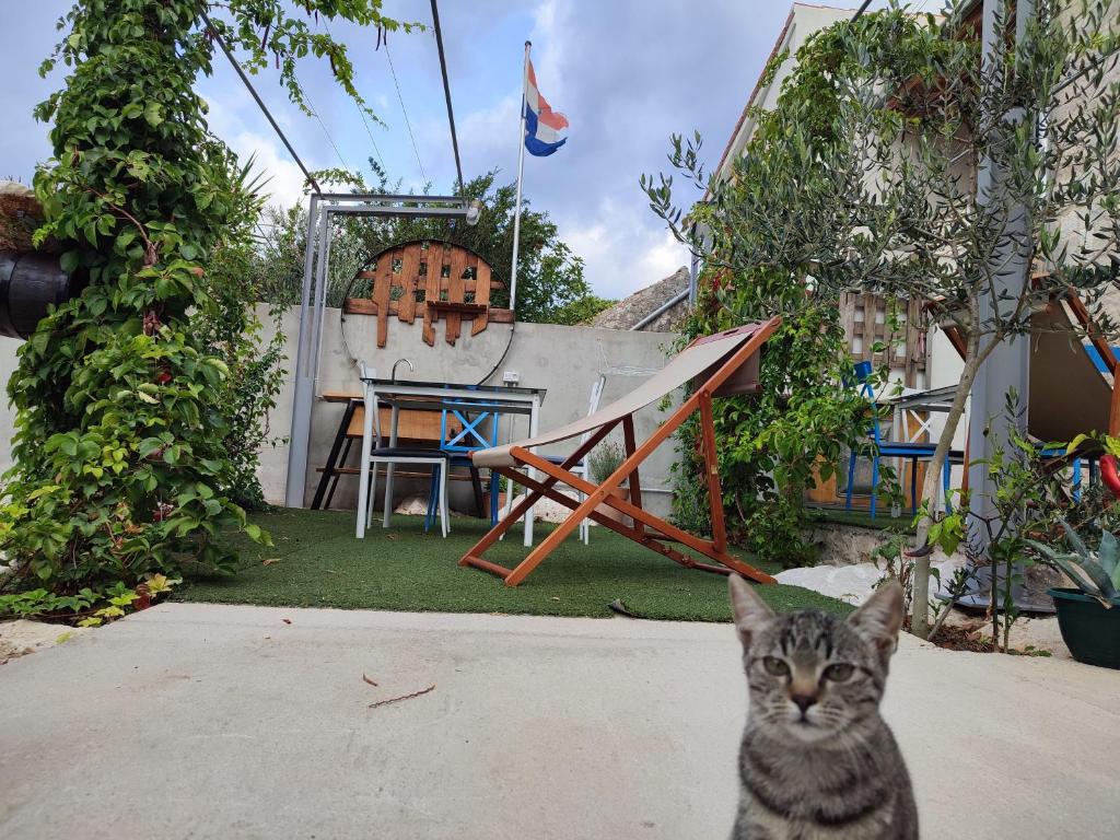 Domáce zviera alebo zvieratá hostí v ubytovaní Apartmani Pelješac Sova