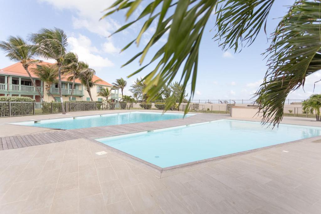 een zwembad in een resort met een palmboom bij Mon Paradis Bleu beach house, 2 bedrooms and sea view! in Saint Martin