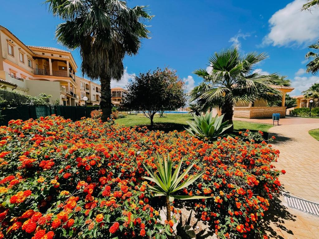 Fotografie z fotogalerie ubytování Mika's House Lite v destinaci Sanlúcar de Barrameda