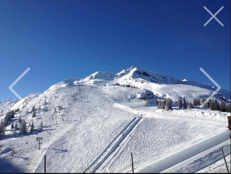 une montagne enneigée avec une piste de ski dans l'établissement Avoriaz: superbe appartement de près de 70m2 !, à Avoriaz