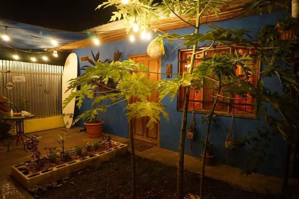 une maison avec un tas de plantes dans la cour dans l'établissement Casita Olivia, à Sámara