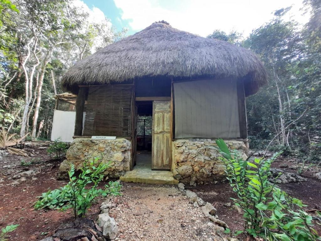 a small hut with a grass roof at Toto Aiko in Tulum