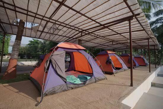 Mishita's Element Resort - Tent