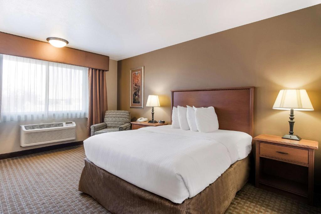 a hotel room with a large bed and a window at Best Western Empire Towers in Sioux Falls