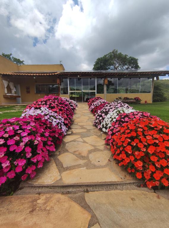 uma linha de flores em frente a um edifício em Pousada Mirante dos Ipês - Capitólio - MG em Capitólio