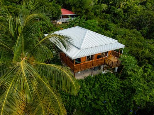 una casa con un techo de estaño y una palmera en Frenchy's, en Providencia