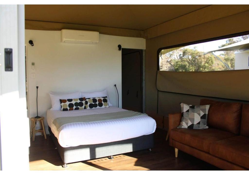 Discovery Parks - Coffin Bay - Deluxe Safari帐篷