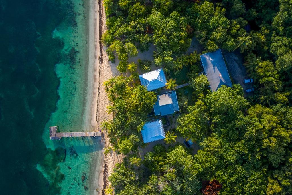 an overhead view of a beach with houses and the ocean at Camp Bay Lodge in Roatán