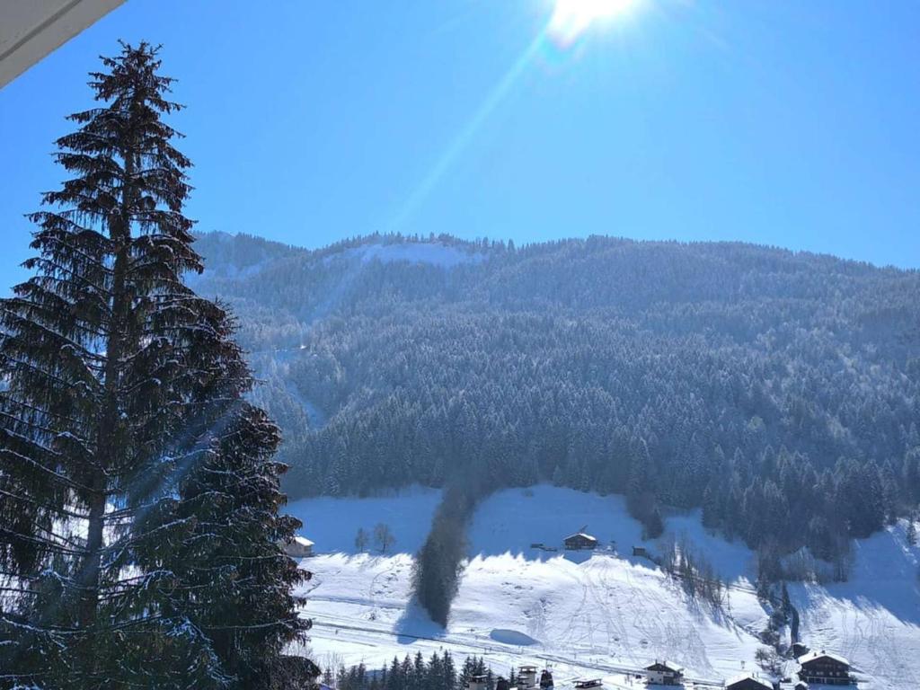 Elle offre une vue sur une montagne enneigée et un lac. dans l'établissement Studio Le Grand-Bornand, 1 pièce, 4 personnes - FR-1-458-166, au Grand-Bornand