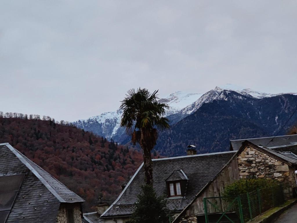 a palm tree next to a house with mountains in the background at Appartement Boutx in Boutx