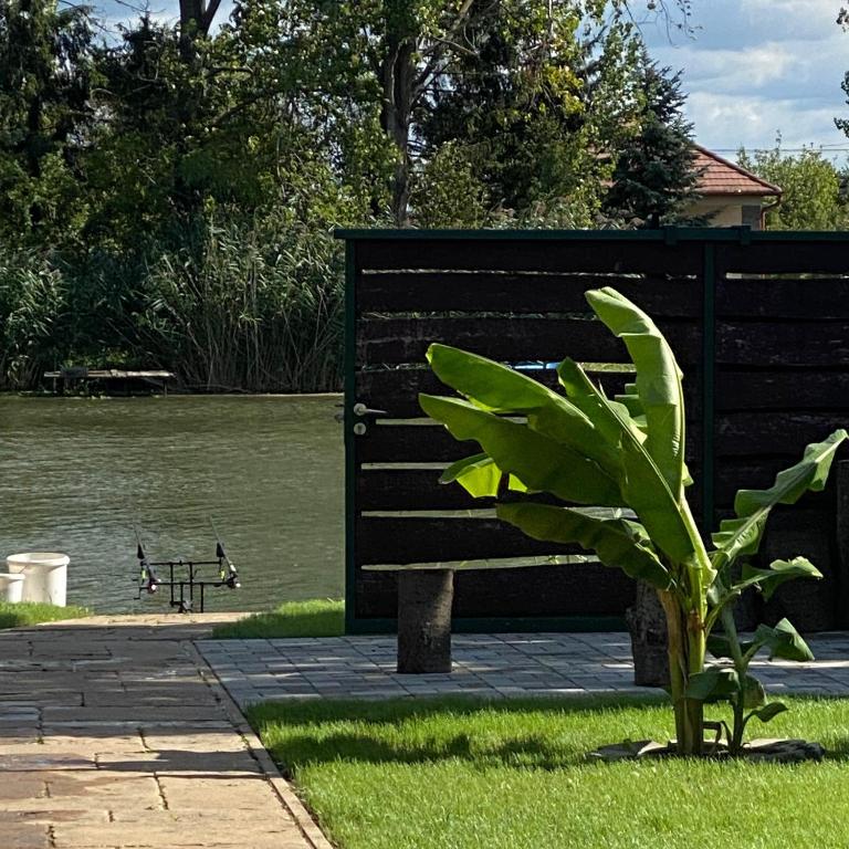 Výhľad na rieku v blízkosti dovolenkového domu