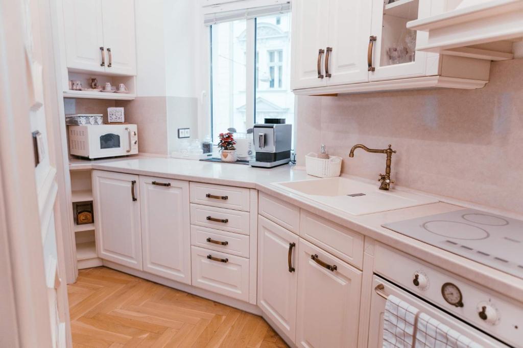 Kuchyň nebo kuchyňský kout v ubytování Apartment Luxury Nostalgia