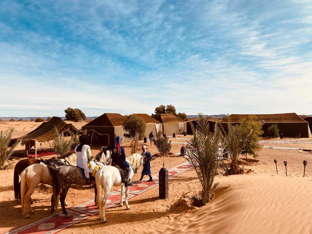 Hosté ubytování Sahara wellness camp
