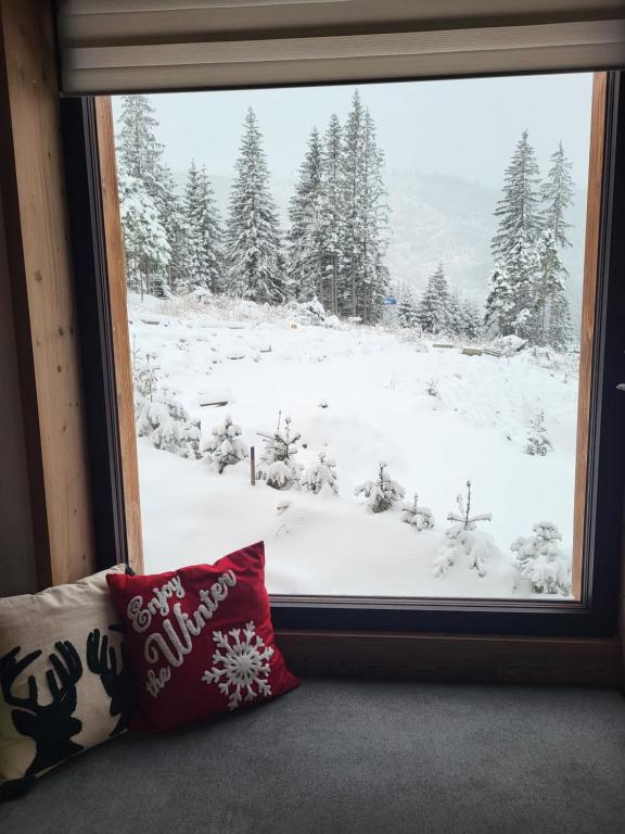 Hillview Jasná Chalet v zimě