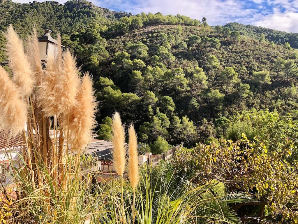 Fotografia z galérie ubytovania Villa en La aldea perdida v destinácii Frigiliana