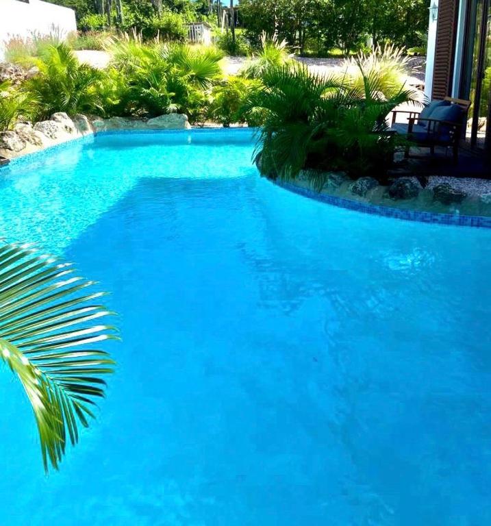 Bazén v ubytování Neue Villa TROPIC PARADISE nebo v jeho okolí