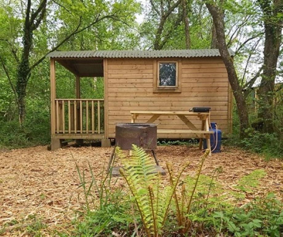 a wooden cabin with a bench in the woods at Woodland Glamping Cabin in Hatherleigh