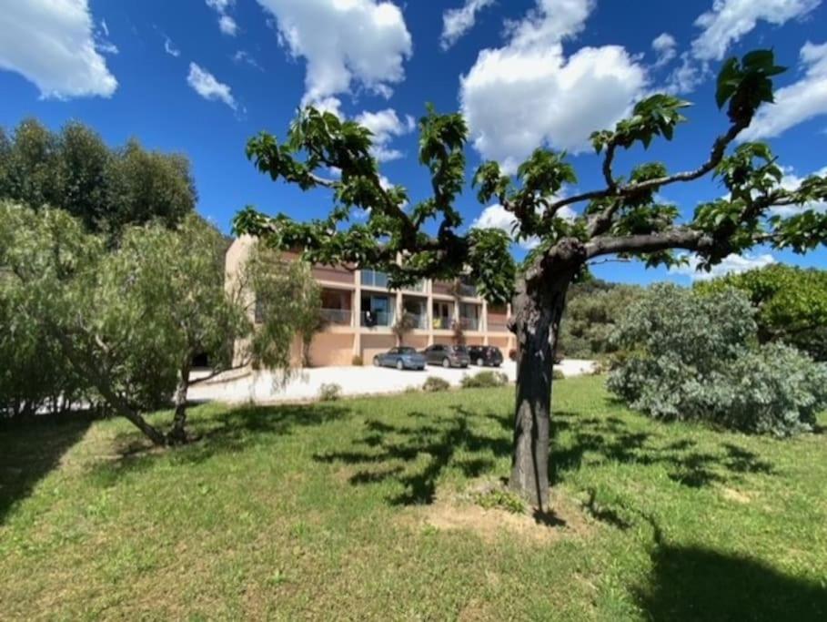 un árbol en un campo frente a un edificio en duplex 5p, st clair, pr plage, au soleil au calme, en Le Lavandou