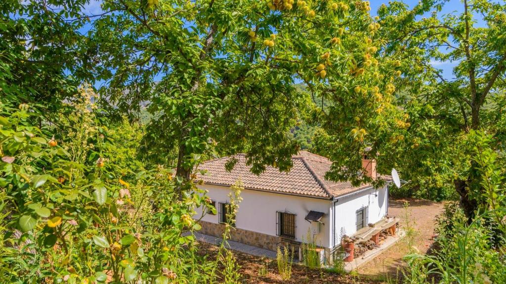 Vonkajšia záhrada v ubytovaní Casa Rural Molino de la Máquina Cartajima by Ruralidays